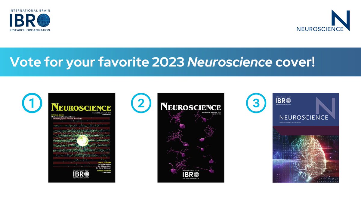 IBRO - International Brain Research Organization (@ibroorg) on Twitter photo Have you voted for your favorite 2023 cover of Neuroscience? The first author of the winning cover will be awarded $500 by Elsevier, the publisher of Neuroscience.
👉 Vote now: ow.ly/N7bL50Qxenv
@ELSneuroscience @NeurosciIBRO @NeurosciIBRO <a href="/franciru1/">Francesca Cirulli</a> Have you voted for your favorite 2023 cover of Neuroscience? The first author of the winning cover will be awarded $500 by Elsevier, the publisher of Neuroscience.
👉 Vote now: ow.ly/N7bL50Qxenv
@ELSneuroscience @NeurosciIBRO @NeurosciIBRO <a href="/franciru1/">Francesca Cirulli</a>