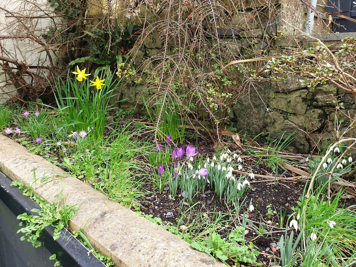 MBInventories tweet media