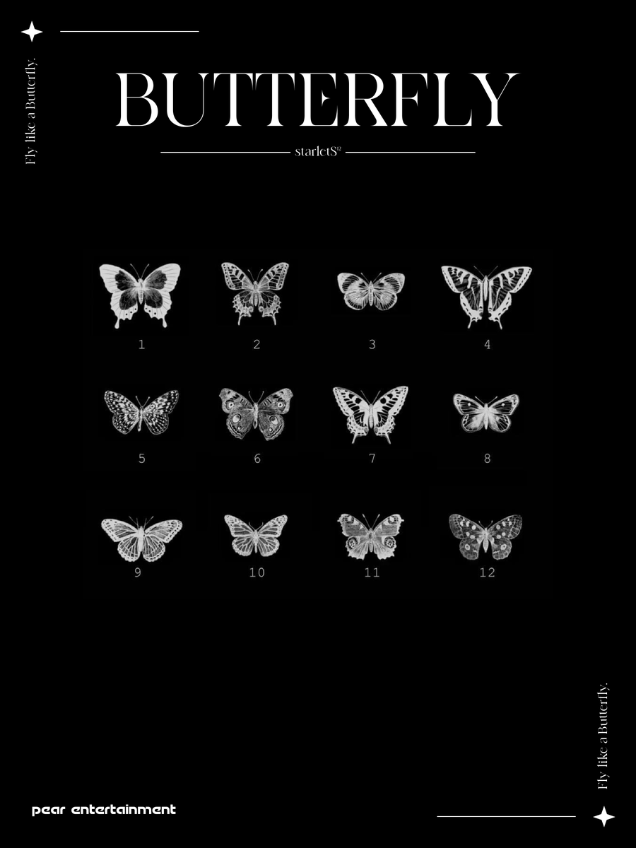 PearStarletS's tweet photo. starletS¹²
Butterfly
Pre-Release (02.23.24)

Fly like a Butterfly - Teaser Photo #2

#starletS #RISING24 https://t.co/JK97aIKTee