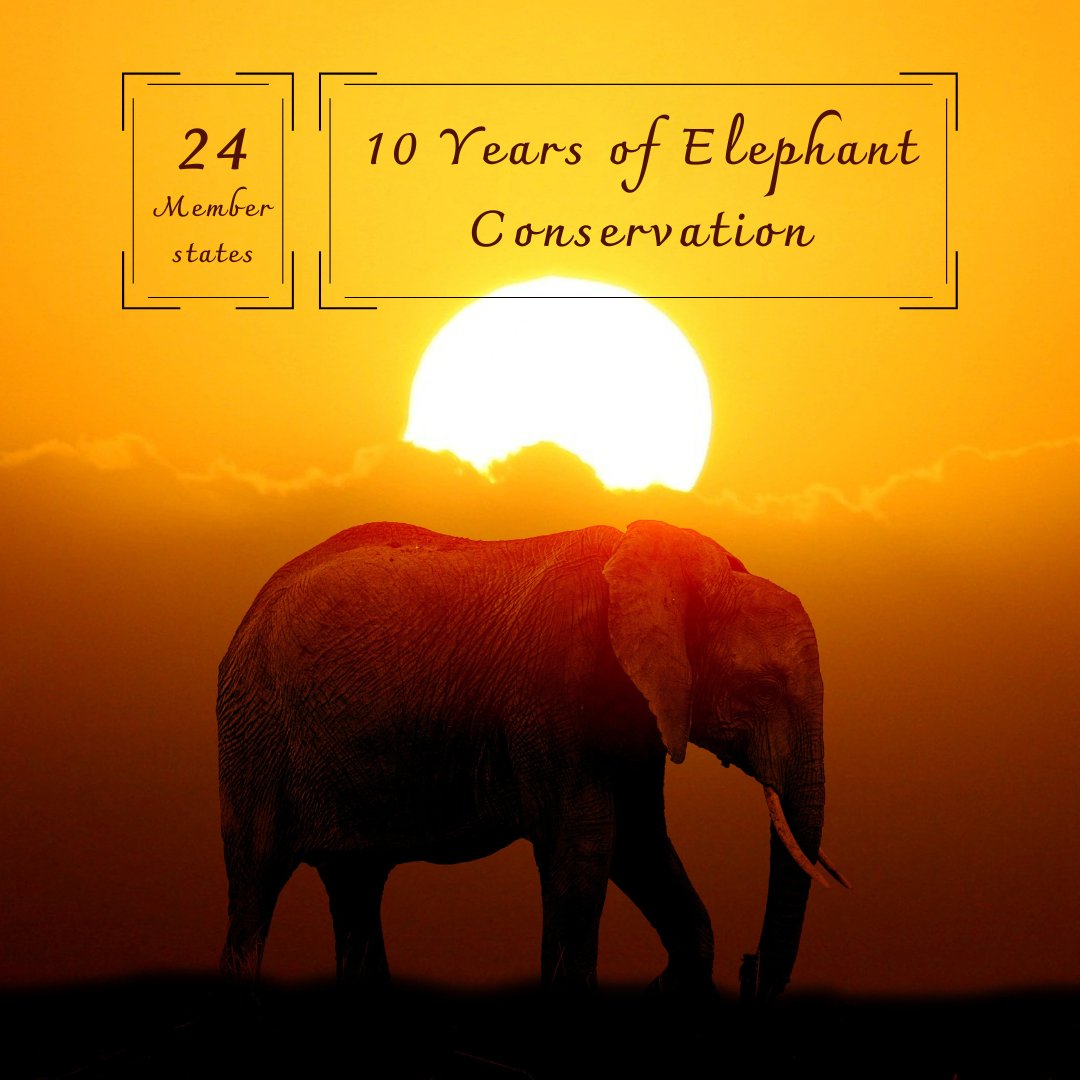 EPIAfrica's tweet photo. We celebrate all the 24 African member states who have made the past #10YearsofElephantConservation by @EPIAfrica possible. Find out more about each member state on our new website https://t.co/z5oLIhrqgK https://t.co/Xe7LZleQ4U