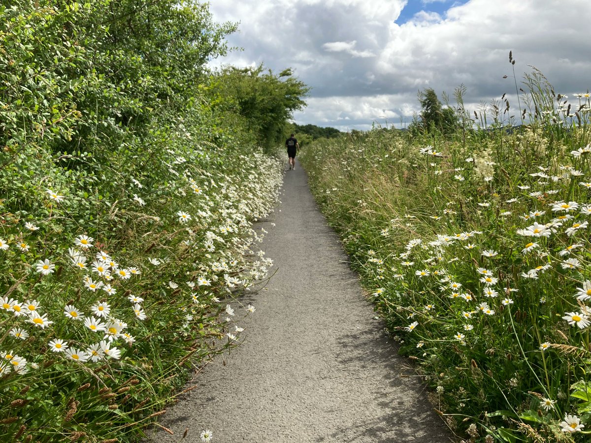 In our latest blog - Travelling into a green future - we look at Scotland’s transport network, old and new, and find confidence in adopting pollinator-friendly actions taking hold. Blog @ scottishpollinators.wordpress.com/2024/02/12/tra…