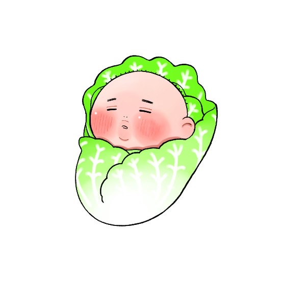 「lettuce solo」 illustration images(Latest)
