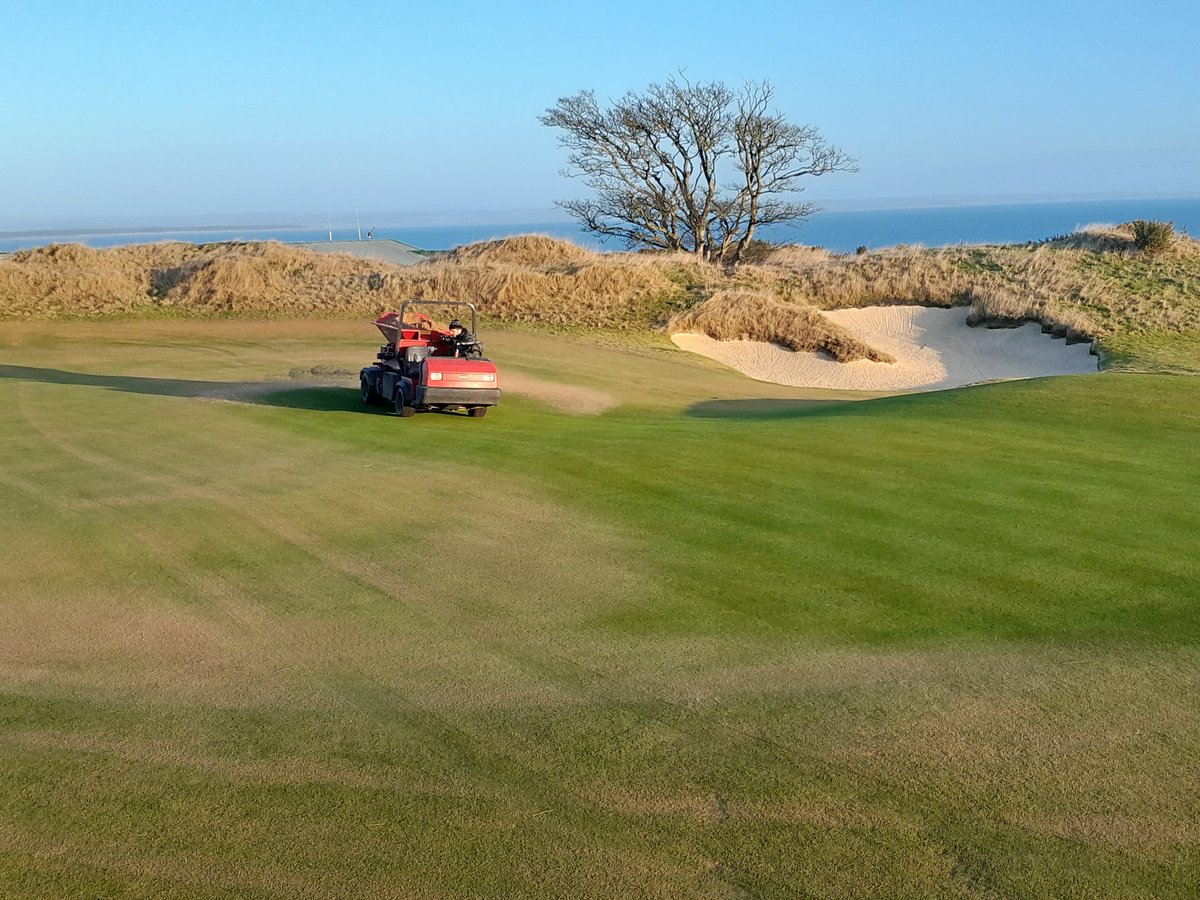 Graeme Taylor tweet media