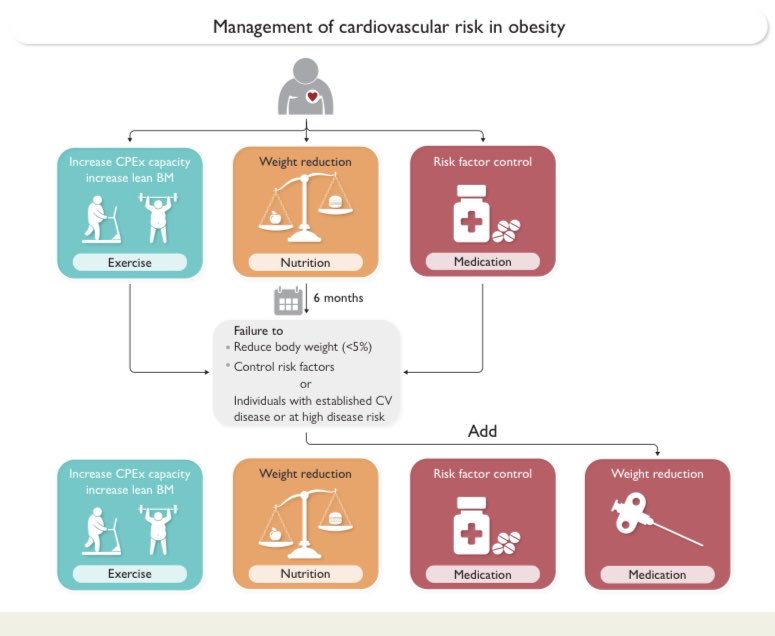 “#Obesity has finally entered the clinical scope of the cardiology community, as being an independent pathophysiological mediator and accelerator of cardiovascular diseases.”
This is a great achievement! I missed #BariatricSurgery ⁦
academic.oup.com/eurheartj/adva…