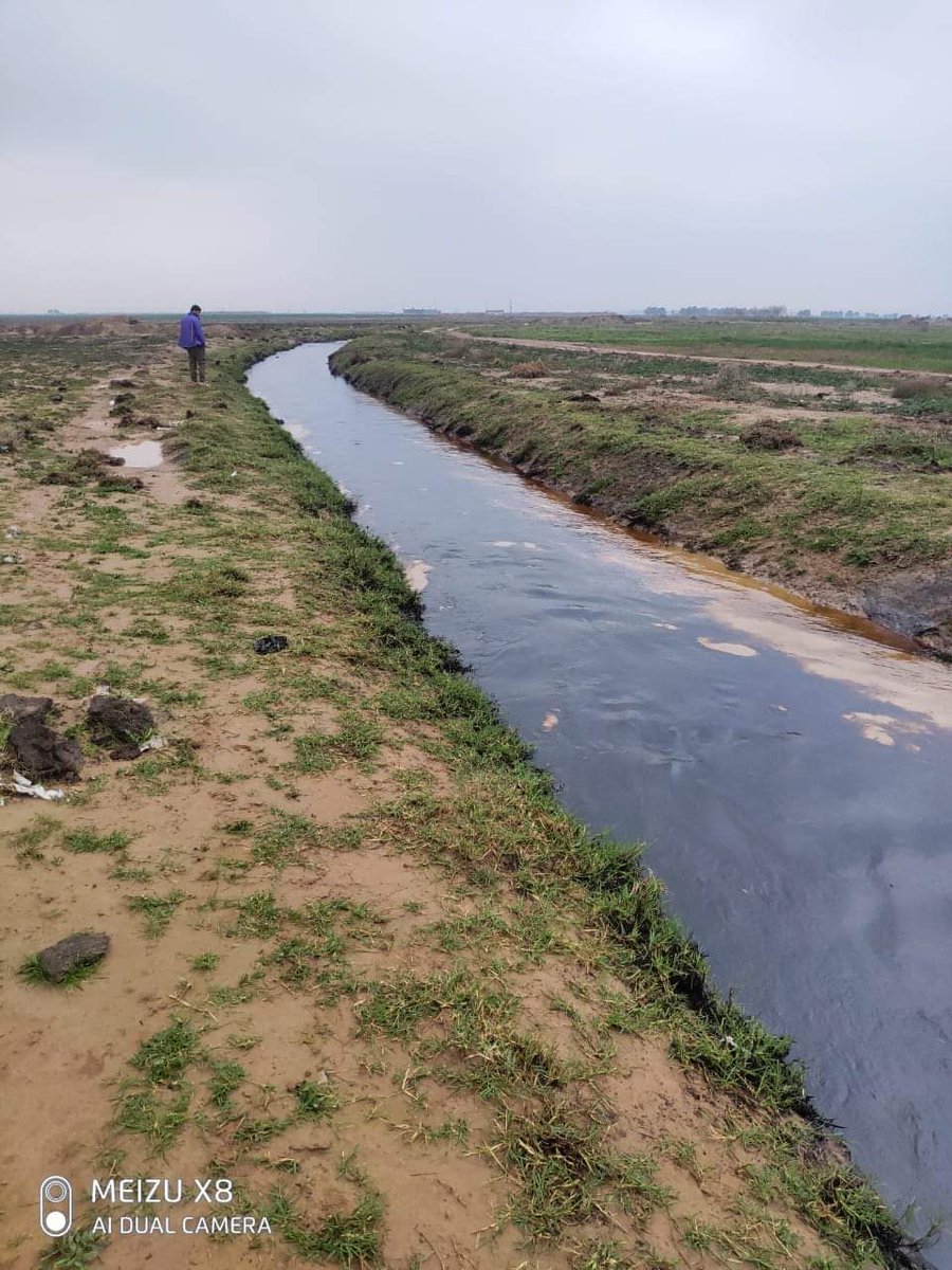 The legacy of conflict-pollution still impacts farmers in Salahadin in #Iraq, where crude oil spills after heavy rains are contaminating agricultural areas. The oil comes from the damaged Ajeel oil fields, that were blown-up by ISIS in their retreat. alsumaria.tv/news/localnews…