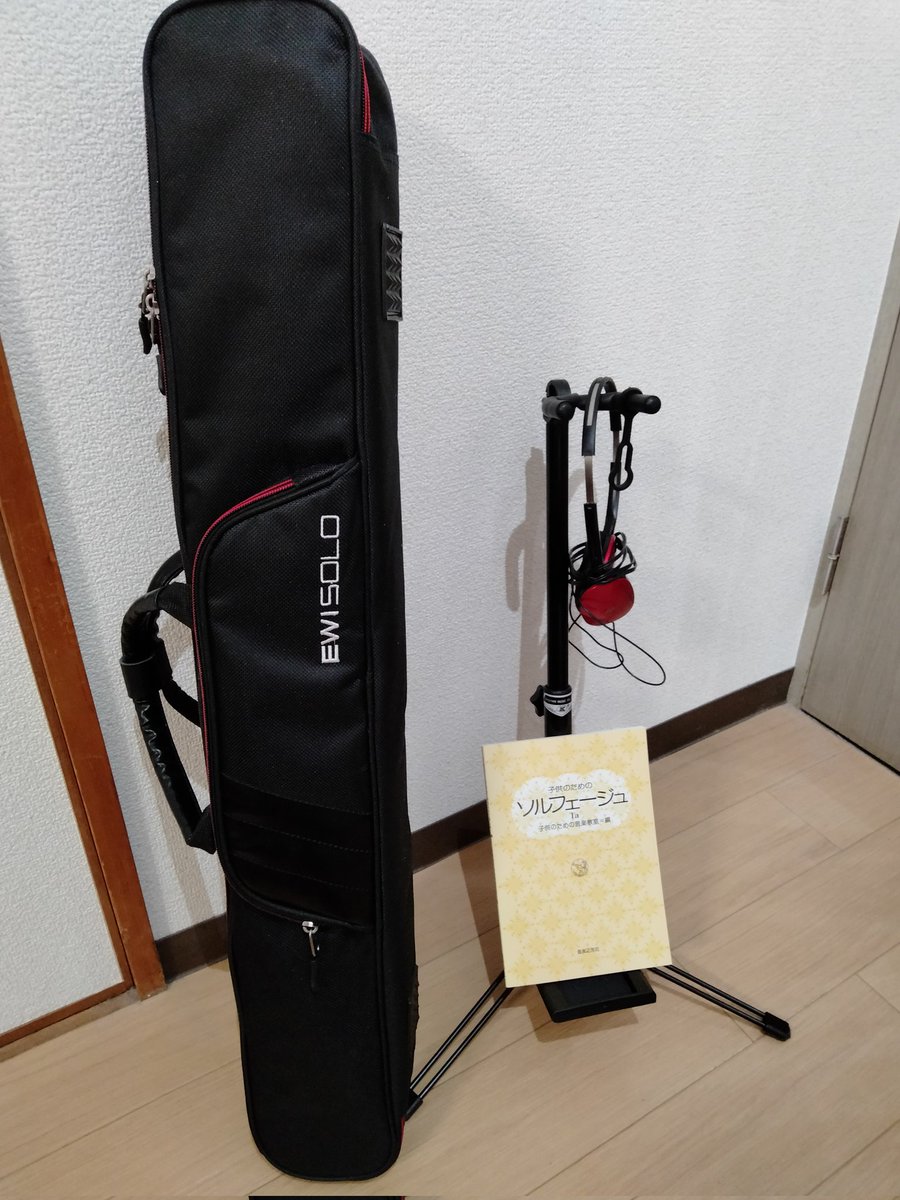 yum_yum_yum_tw's tweet image. #EWI
ソルフェージュと大陸から届いた臭いケース😵