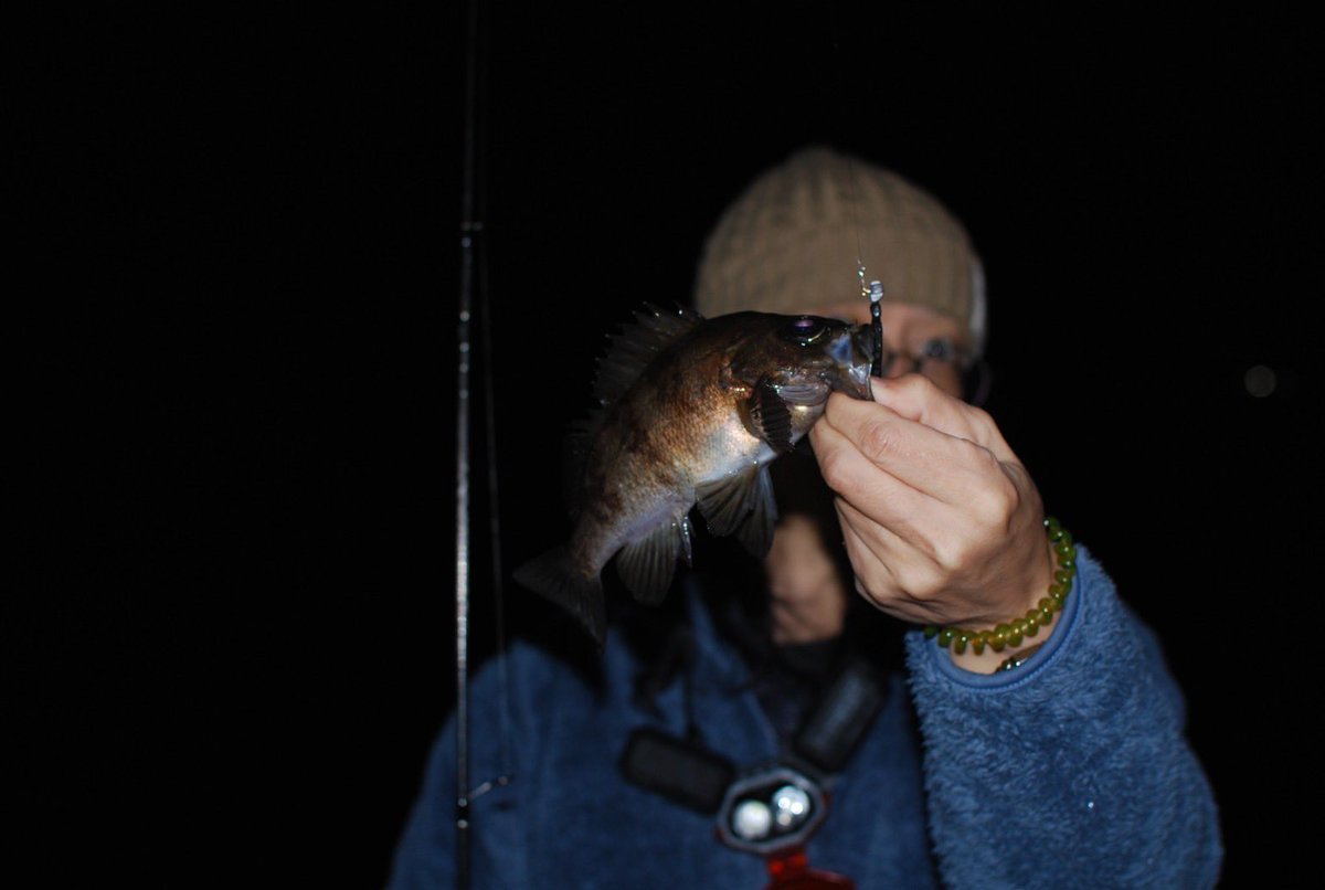 nnnooommmiii's tweet photo. 昨夜はfishing foolさんへアジング!
意外と浮いてる謎パターンでした。アジング難しいなぁ。メバルの気配あったので近々発売予定のメバルワーム投げると、一撃でした。さぁ発売準備しなきゃ。
.
.
.
#山豊テグス
#HowIsYourFishing
#fishingFool
#イービーズ https://t.co/fQDU0lYJO9