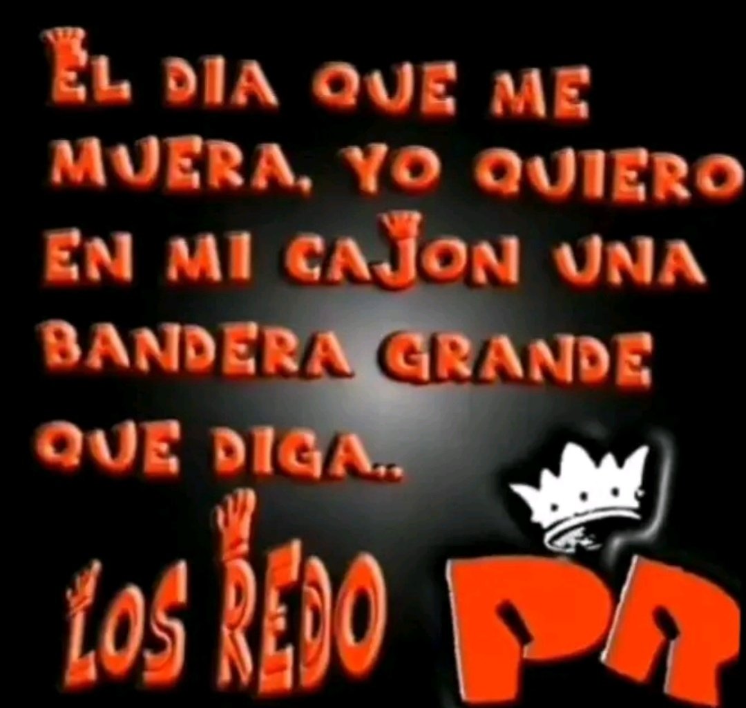 jaz jurios de mierda patriciorey tweet media