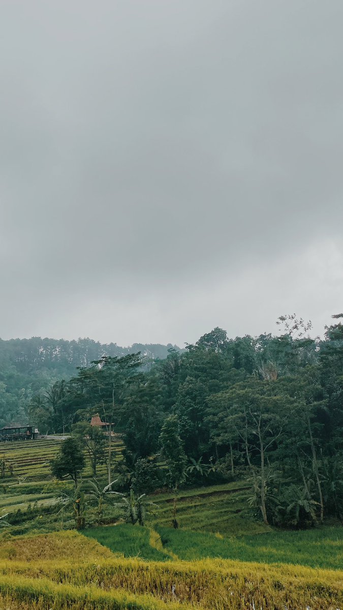wcelafa's tweet image. Karna banyak yang tanya dimana, aku bahas disini ya. Siapa tau bisa jadi tujuan healing kalian.

Salah satu destinasi wisata di kabupaten Kendal

A thread
