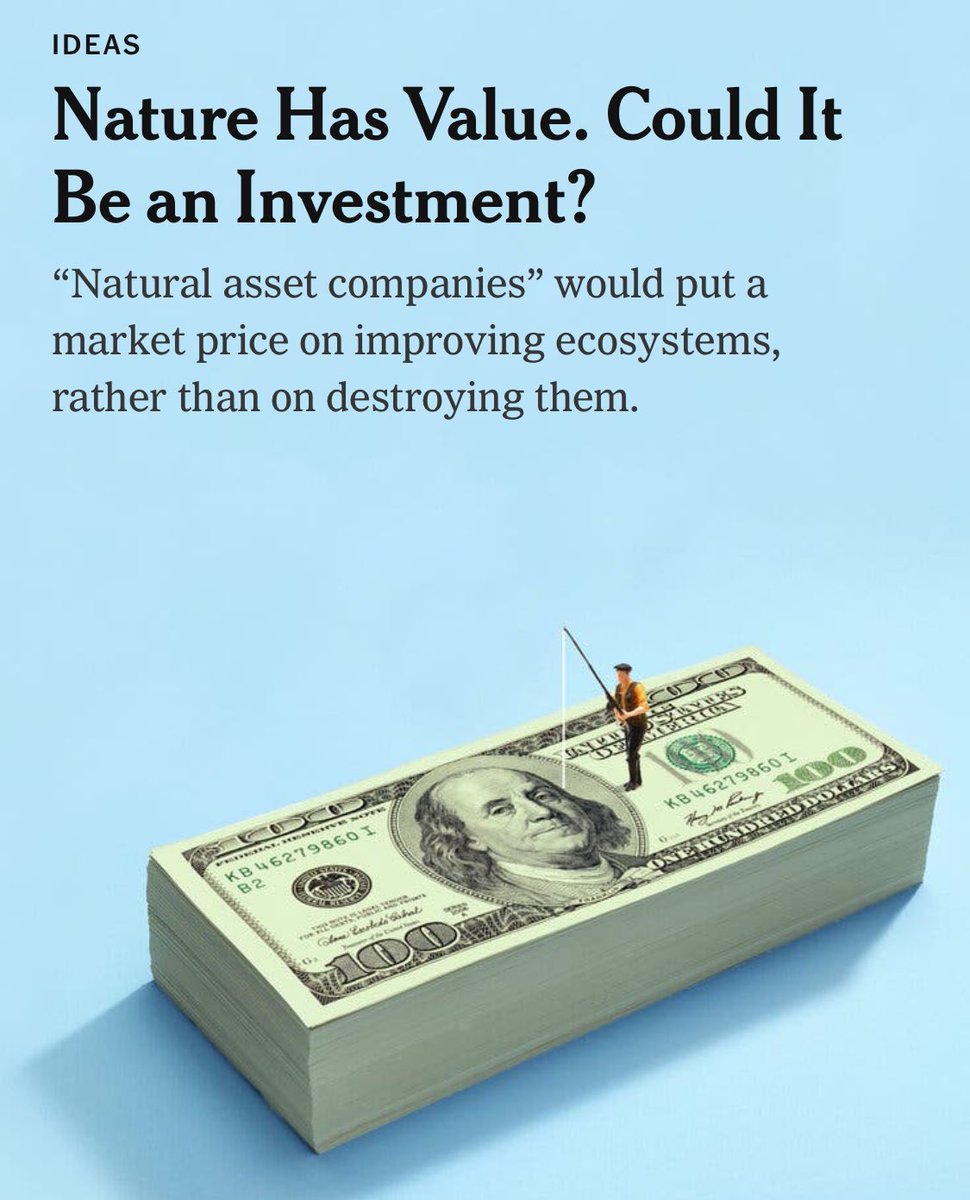 bro please bro let’s try to let the markets save the planet just one more time I swear it will be different this time bro they’ll finally see the economic value of nature bro I promise bro