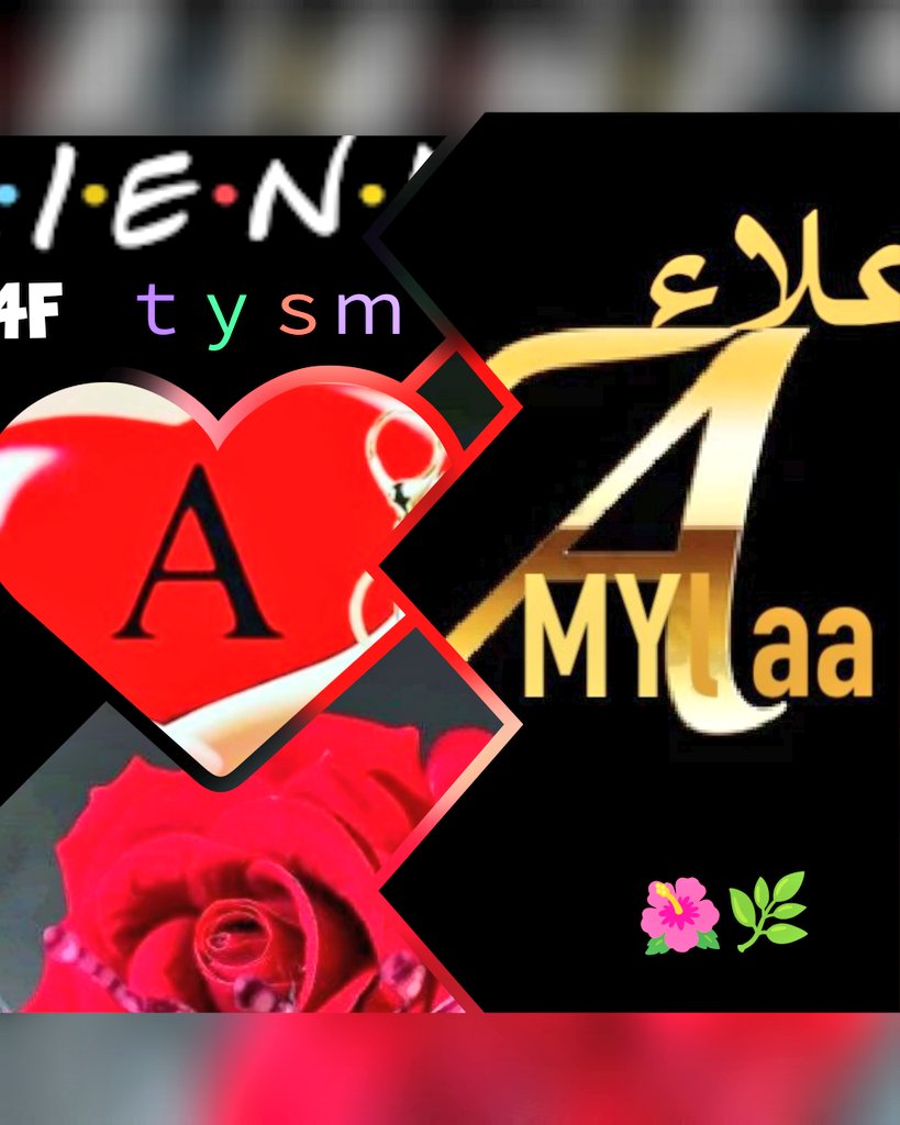 alaa amy tweet media