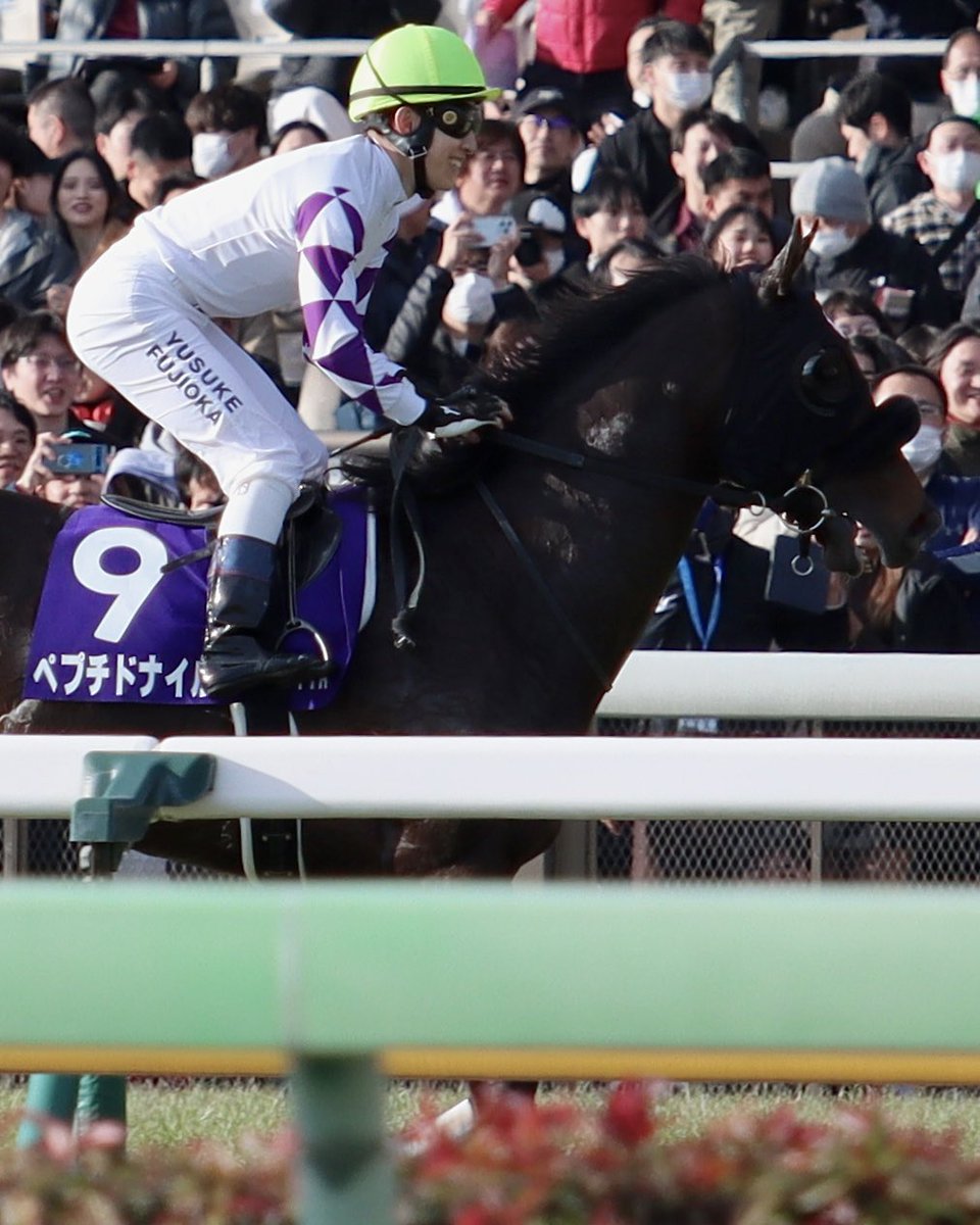 🏆ペプチドナイル× 藤岡佑介騎手 2024.02.18 東京11R フェブラリー