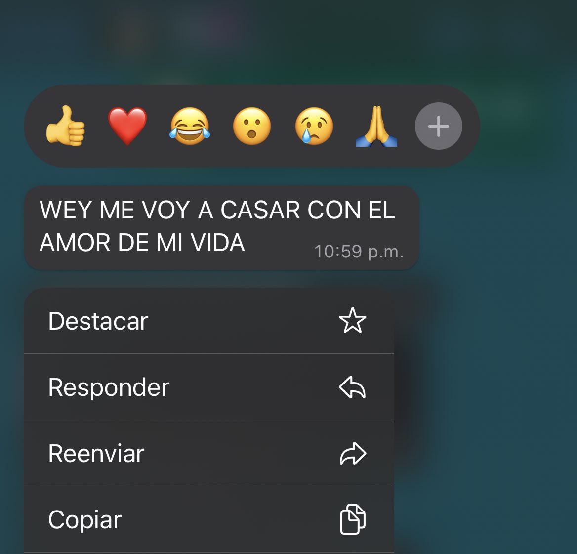 florencia tweet media