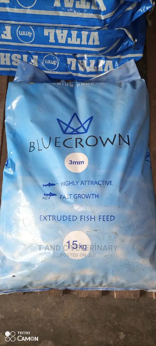 @Timiglow Good morning Sire 🤍 @Timiglow
I need it to get feed for my grandma’s Turkey and fish.
We Survive from The sales of that fish.🥺

🙏🏾 Divine empowerment 

#GodsFaithfulness #TemiAt34 #GraceOverStruggle #Timiglowbirthday #HumanityFirst