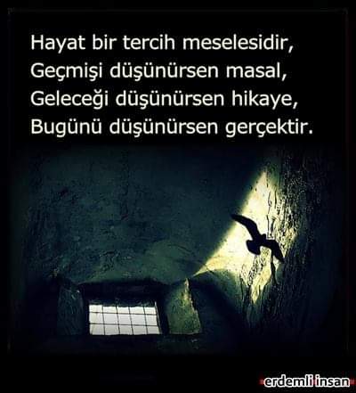 Ferhat Topal (@erdemlinsan) on Twitter photo 