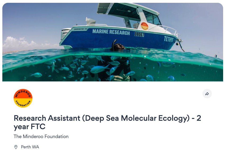 Join the @minderoo OceanOmics team as a Deep-Sea Research Assistant! You'll assist in voyage planning, fieldwork, and lab operations (eDNA and genomic). linkedin.com/jobs/view/3832… seek.com.au/job/73795811?t…