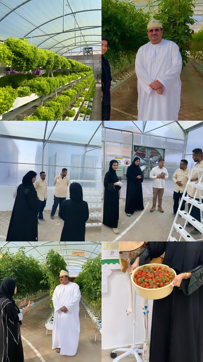 Feeling incredibly grateful for all the amazing guests who came to explore Kulna greenhouse!Thank you for joining us on this journey of sustainability and growth. Together, we're cultivating a greener future. 🌿💚#GreenhouseAdventures
<a href="/HayAlSharooq/">HayAlSharooq</a> 
Thank you Mr <a href="/RashidAlaraim10/">Rashid Al araimi</a>