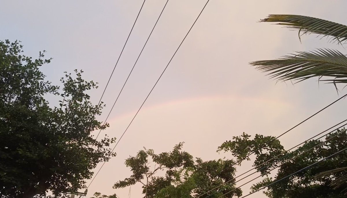 zhoumo (@zhoumo576725) on Twitter photo 