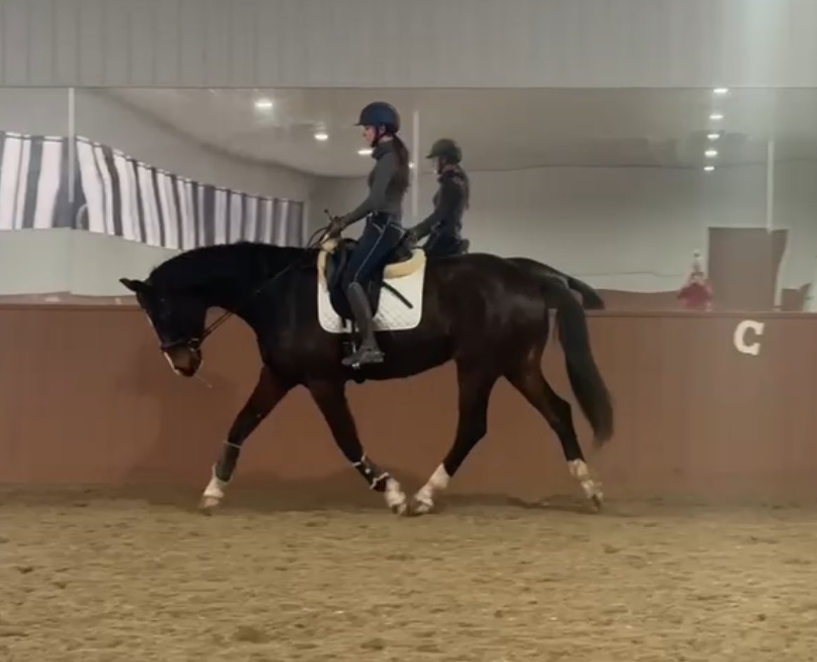 I am riding fun dressage babies again and I still love it
