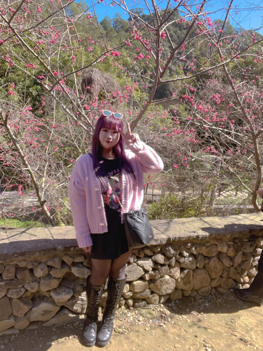 dandan (@dan17321) / Posts / X
