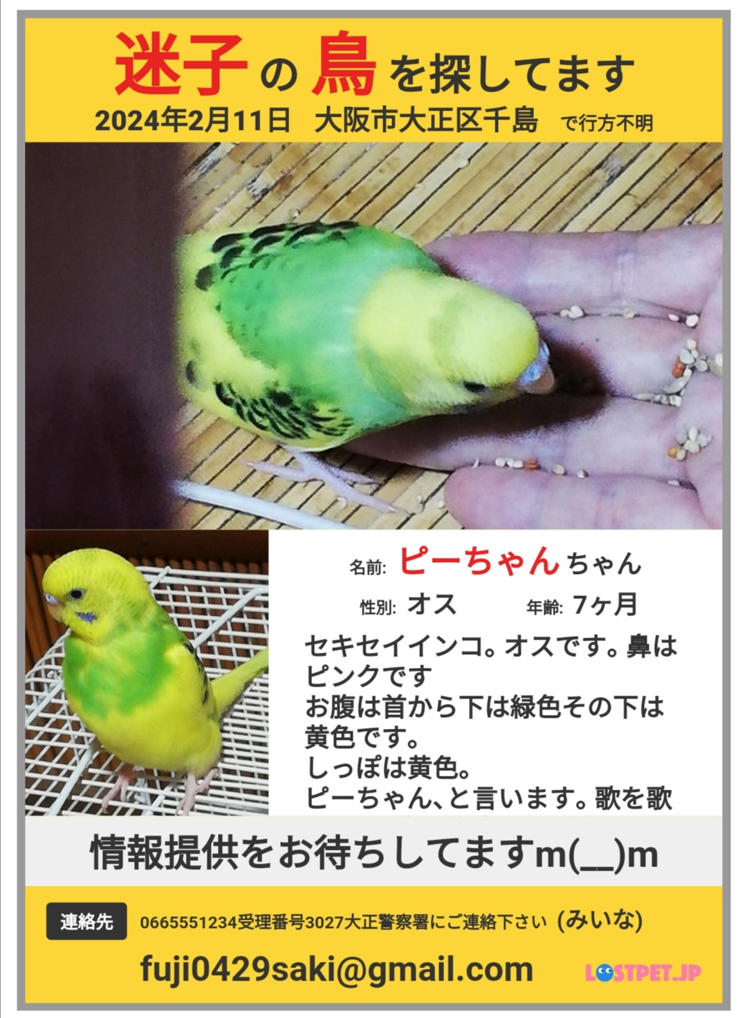 tsubasa様 ご相談ページ 認定NPO法人TSUBASA on X: 