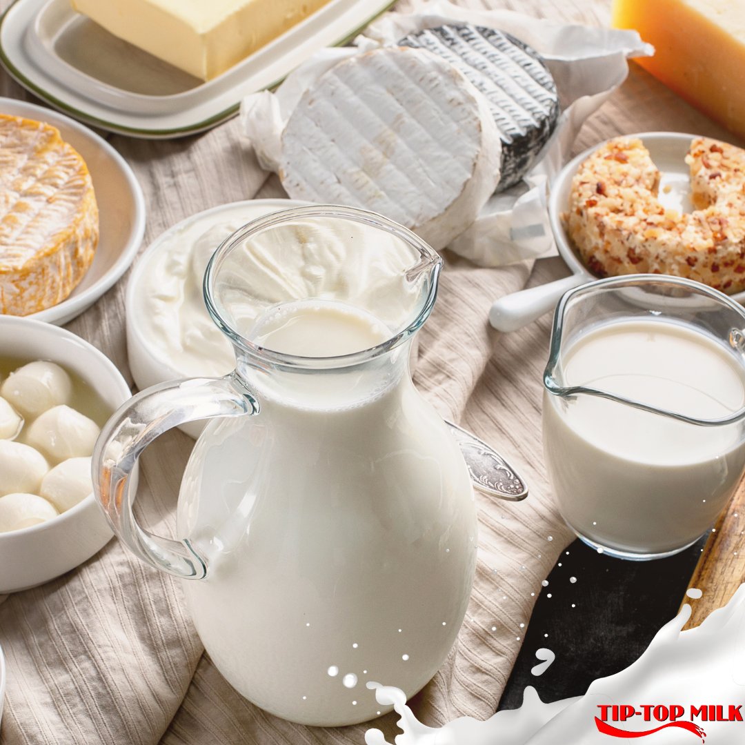 Are you a #processor looking for a #reliable source of #rawmilk? 🥛 We specialise in sourcing, collecting, & transporting #milk from #dairyfarms across the country. Contact us on support@tiptopmilk.co.za or (056) 555 0025 to join our herd.