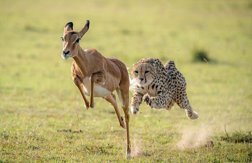 انا مؤسس حزب طرد المقفين 
وراك لين اطيحك في ايديني 

#محمد_ابن_الذيب