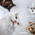 Photo by Dmitrii (Ø,G) (@dima_student2)