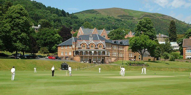 WG RumblePants tweet media