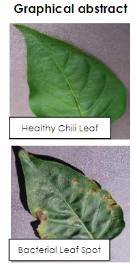 jurnalUTM's tweet photo. TOWARDS IMPROVED DISEASE IDENTIFICATION WITH PRETRAINED CONVOLUTIONAL NEURAL NETWORKS AS FEATURE EXTRACTORS FOR CHILI LEAF IMAGES

https://t.co/nfPraBAwYe

#Diseased
#chilileaf
#convolutional neural networks
#cross-validation https://t.co/DlEKl4xDVH