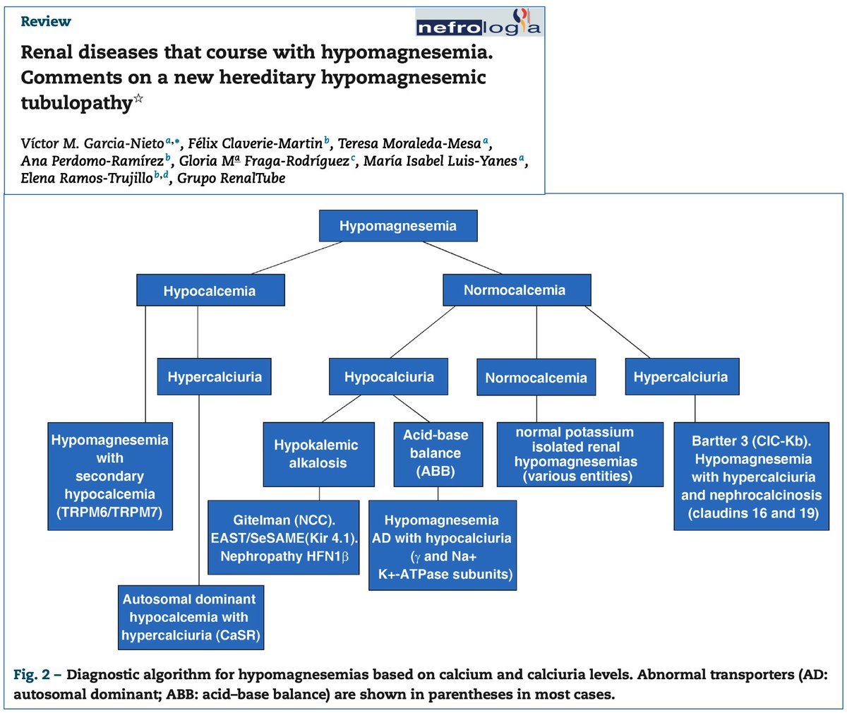 ralcazara's tweet photo. En #RevistaNefrologia se revisan las enfermedades renales que cursan con hipomagnesemia. https://t.co/IU6Kr1L8Mo - La calcemia y la calciuria claves en el diagnóstico diferencial @SENefrologia @SOMANEorg #Nefro_8_01 https://t.co/PpVVPBEl58