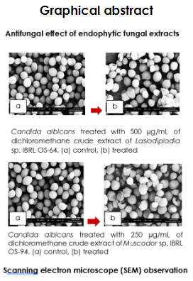 jurnalUTM's tweet photo. ANTIFUNGAL ACTIVITY OF ENDOPHYTIC FUNGI ASSOCIATED WITH OCIMUM SANCTUM
https://t.co/vrywKpqDNo
#Endophytic fungi, #Ocimum sanctum, #Antifungal activity, #Volatile compounds, #Dichloromethane extracts https://t.co/2KjiNZ0zNF