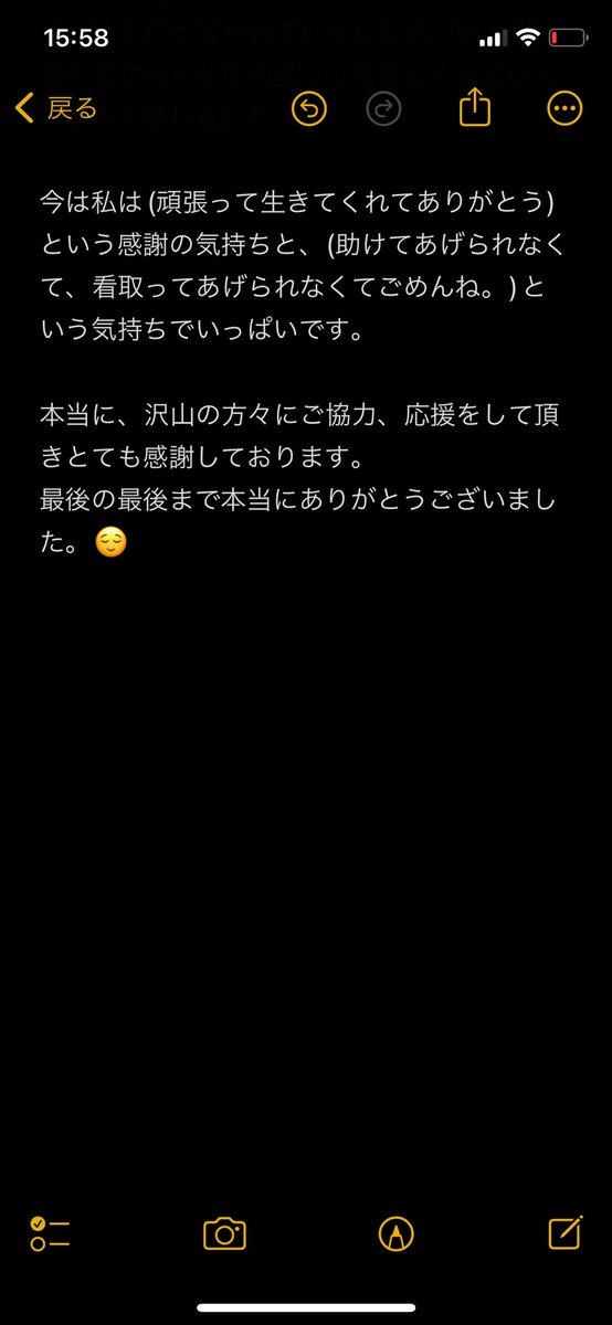 SkyRoyal797's tweet photo. ご報告がございます。
ミケちゃんが天国へ旅立ちました。

とてもやんちゃな子で遊ぶことが多くて可愛い子でした。

私、文章を作るのが苦手なため読みづらい箇所があると思いますが、ご許しくださいませ。
#拡散希望　#猫　#猫供血　#猫輸血　#猫B型　#猫b型 https://t.co/nFBkKzw27F