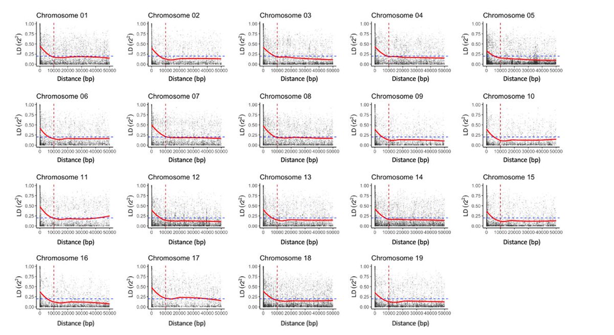 Hortres's tweet photo. Advancing grapevine breeding: GWAS reveals novel QTL for yield traits and post-harvest behavior, guiding sustainable agriculture. #GrapeBreeding #AgriculturalInnovation @OxfordJournals Details: https://t.co/L1lpG8mSUM https://t.co/iIYONyN3k0
