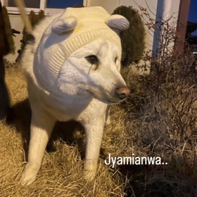 anjunseok17's tweet photo. #새프로필사진 https://t.co/rXcvLrjHju