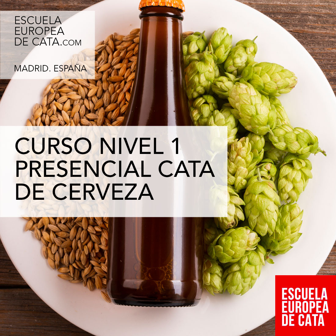23 febrero de 17 a 20 h. Cata de #Cerveza Presencial. Nivel 1: escuelaeuropeadecata.com/producto/nivel…