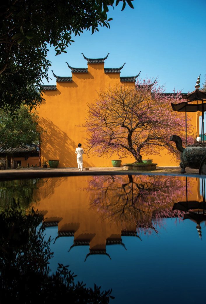 Eves_escape's tweet photo. 🏯🌸 At Jiufeng Temple 九峰寺 in Zhejiang's Taizhou, a solitary plum tree becomes a stunning sight, flourishing amidst the ancient temple's ambiance. Their presence within the temple adds a serene Zen essence.
#PlumBlossom #ZenBeauty #TravelChina 🌿
