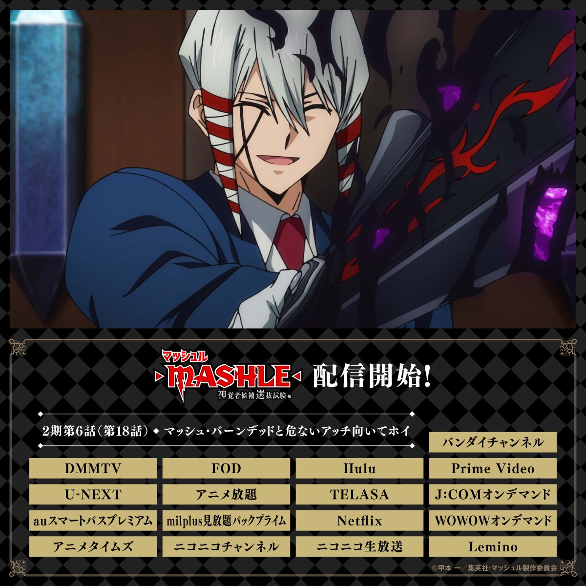 マッシュル　ブロマイド　カルド マッシュルブロマイドカルド