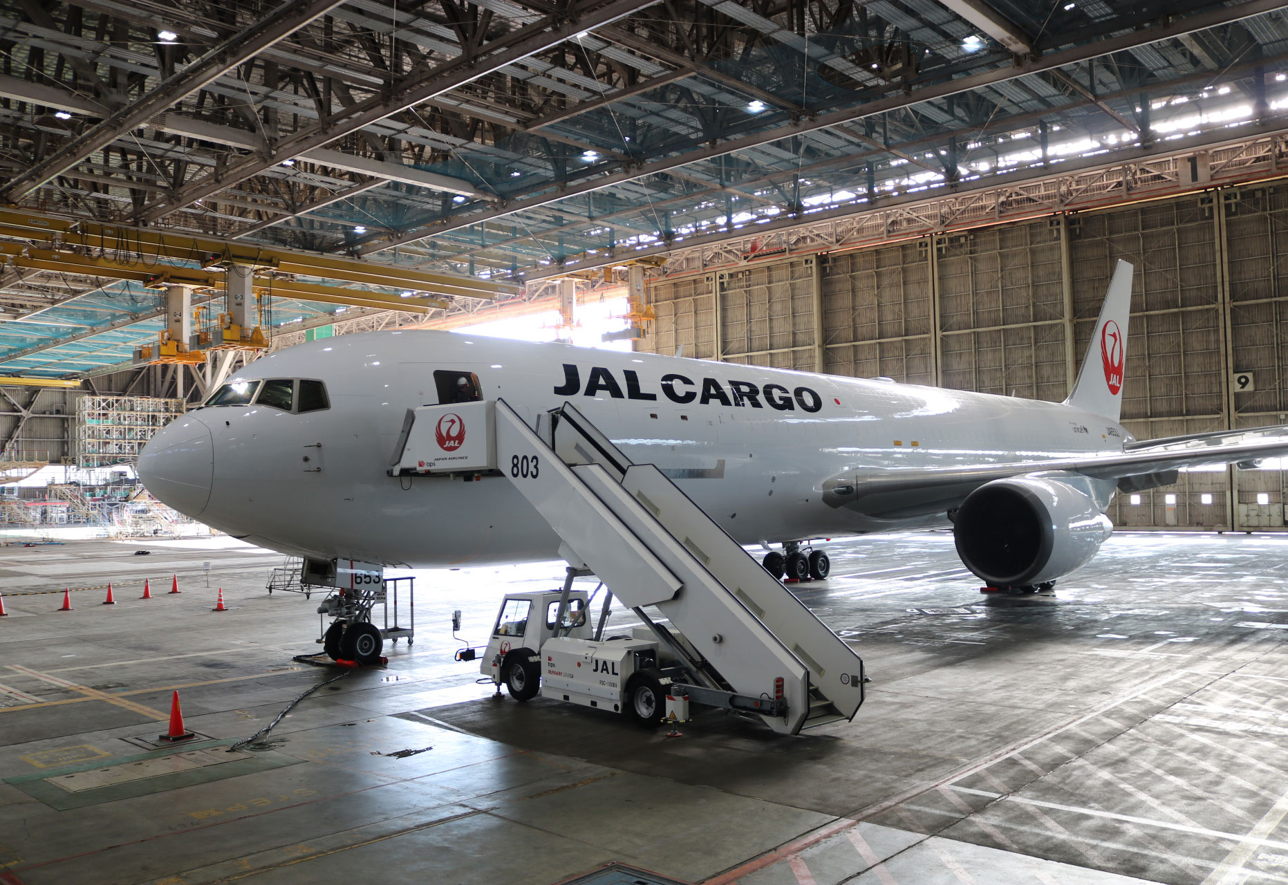 JAL's now【公式】 on X: 