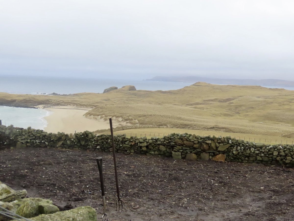 PlantLegacyScot's tweet photo. 1/2 Day 1 #PreciousPersistence @ThinkUHI @sgsah @TheBotanics in #Shetland Contrasting #wildplant #habitats Morning #grasslands #strandline at #BreckonSands #Yell people & plants living together for 4000 years @ShetlandAmenity @NatureScot @BSBIbotany @SpeciesEdge https://t.co/ADqQj2XehF