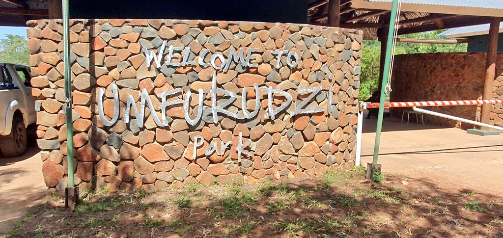 SlickAllos's tweet image. A weekend to cherish and remember! #WeekendDump