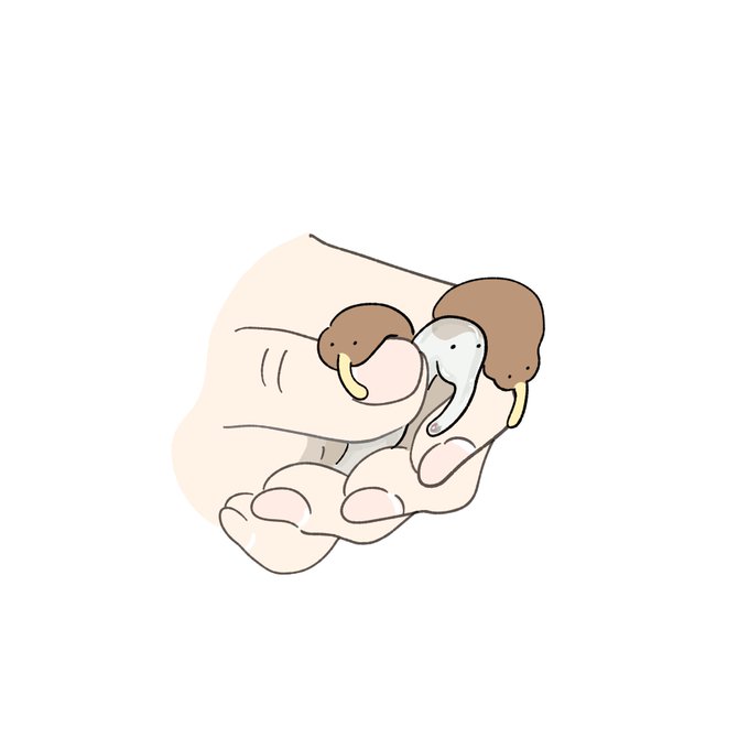ヌルリ... 