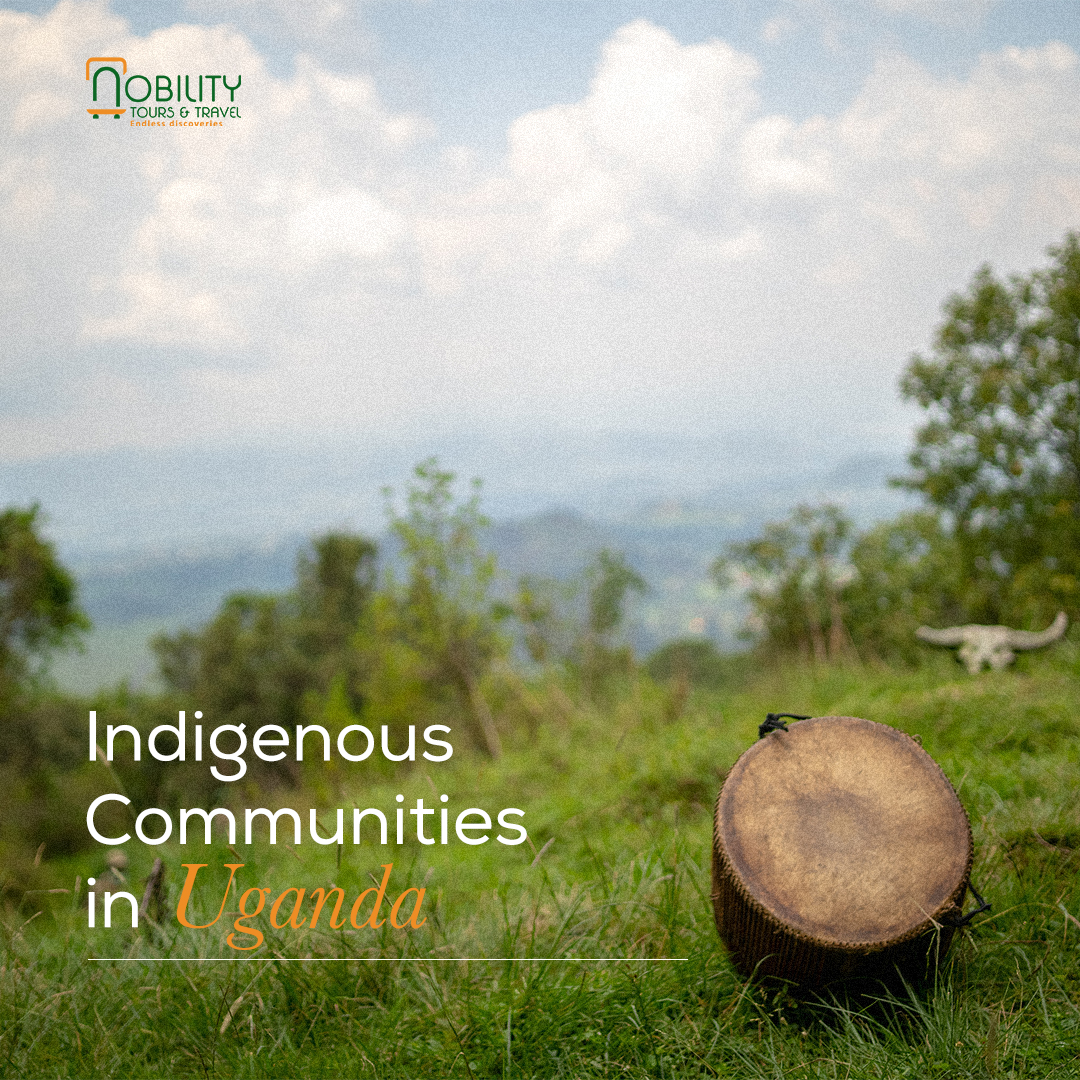 NobilityTourstr's tweet photo. #IndigenousPride #CulturalPreservation. https://t.co/bXnGdNYBvM