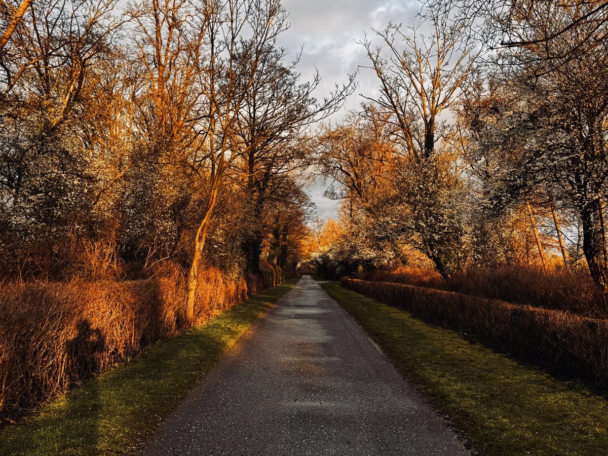 nigelgutgenug's tweet photo. Moulton Paddocks in lovely winter light shot on iPhone 15 pro max.
Worth having a look at the camera settings &amp; adjusting to your taste. You can set your own defaults so you’re not changing when you open camera.
Clever stuff 📸

#outsideisfree #viewslikethese https://t.co/ehuUN7GlJq