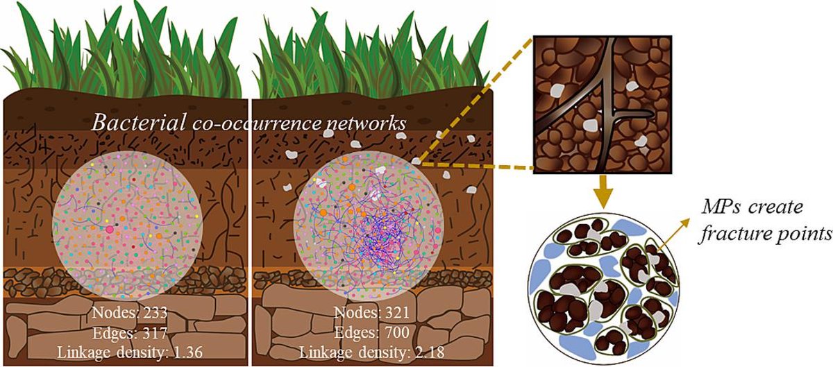 ykuzyakov's tweet photo. 💥NEW in Environment International @env_int_journal
Microplastics alter #soil structure and microbial community composition
https://t.co/POtHzwfIf5

#microplastics #SoilOrganicMatter #soilaggregates #microbialbiomass #GlobalChange #soilbacteria 
@mrillig https://t.co/w9aKOIIvuF