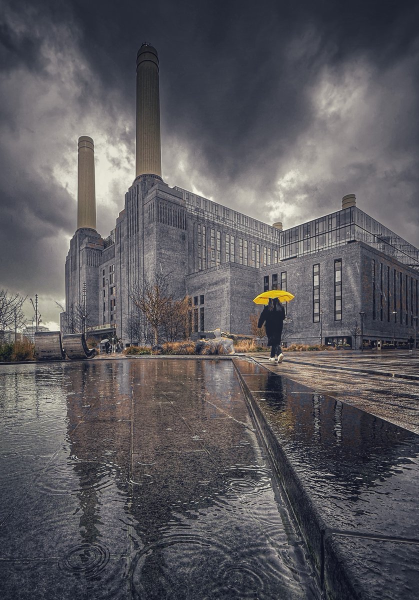 William Hulbert Photography tweet media