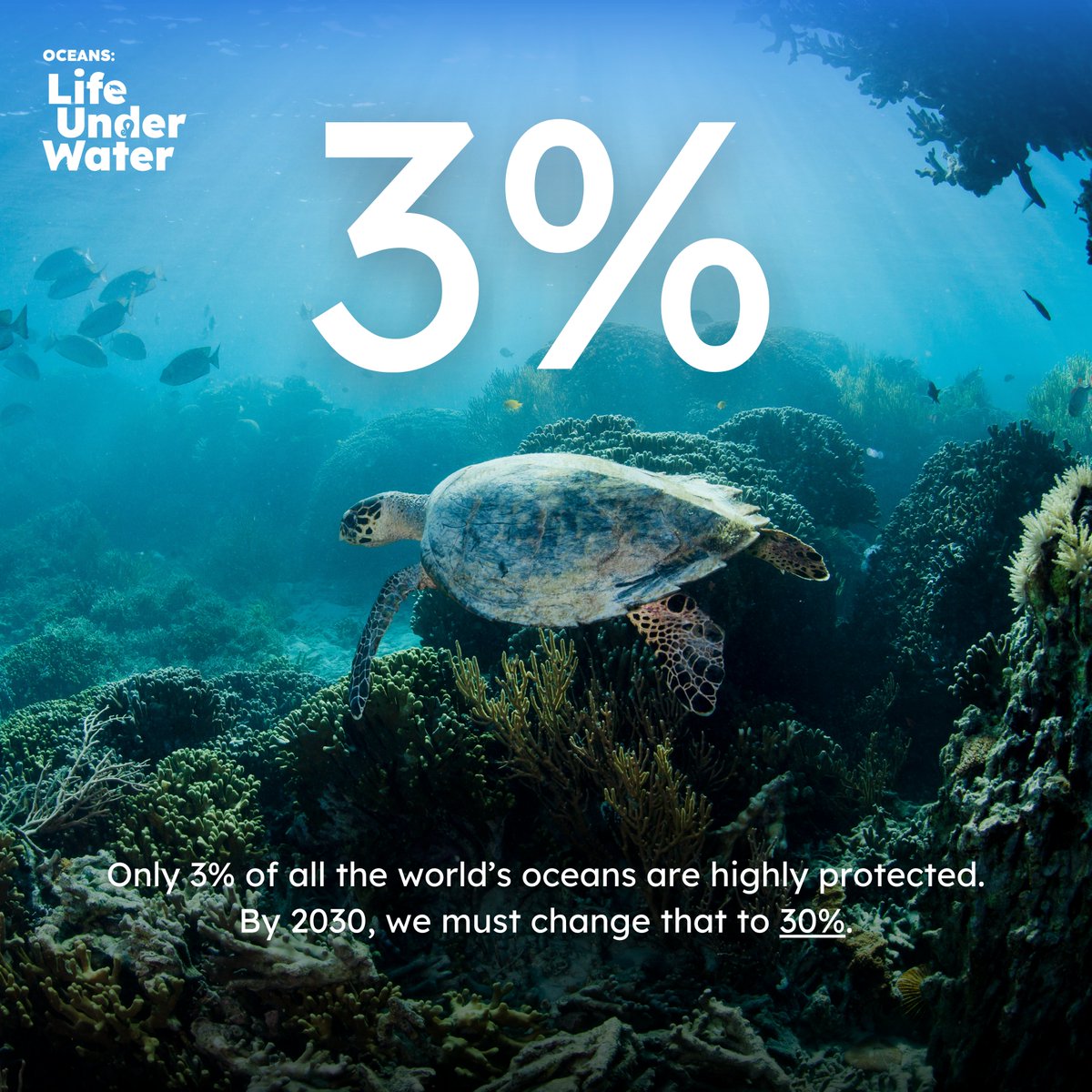 We've launched a podcast: Our Oceans - Life Under Water, hosted by <a href="/HannahStitfall/">Hannah Stitfall</a>.

By 2030 we need 30% of our ocean protected - right now we have under 3%. It's ambitious, but bridging this gap isn't as hard as you might think.

open.spotify.com/show/6BUAtH9pd… (feat: <a href="/helenscales/">HS</a>)