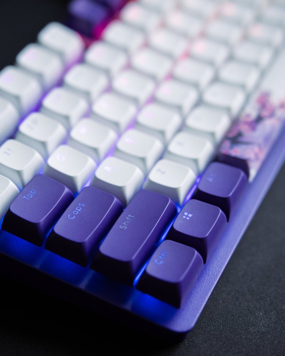 DARK PROJECT tweet media