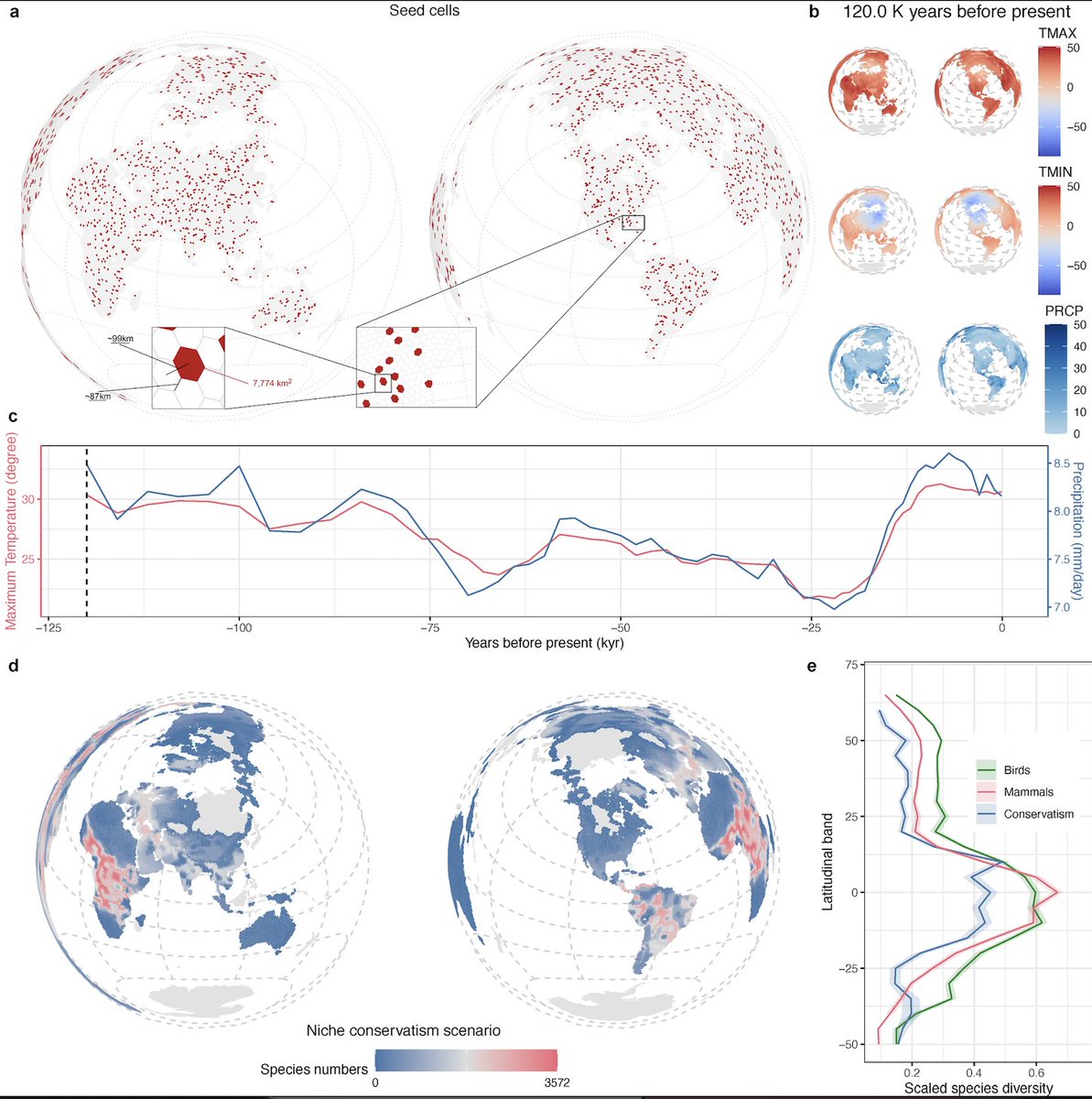 Saupe Lab Oxford (@erinsaupe) on Twitter photo 🚨🚨 New paper on how rates of niche evolution / trait change affect diversification rates <a href="/NatureEcoEvo/">NatureEcoEvo</a>🚨🚨Check it out here: rdcu.be/dyZ1B 🚨🚨 New paper on how rates of niche evolution / trait change affect diversification rates <a href="/NatureEcoEvo/">NatureEcoEvo</a>🚨🚨Check it out here: rdcu.be/dyZ1B