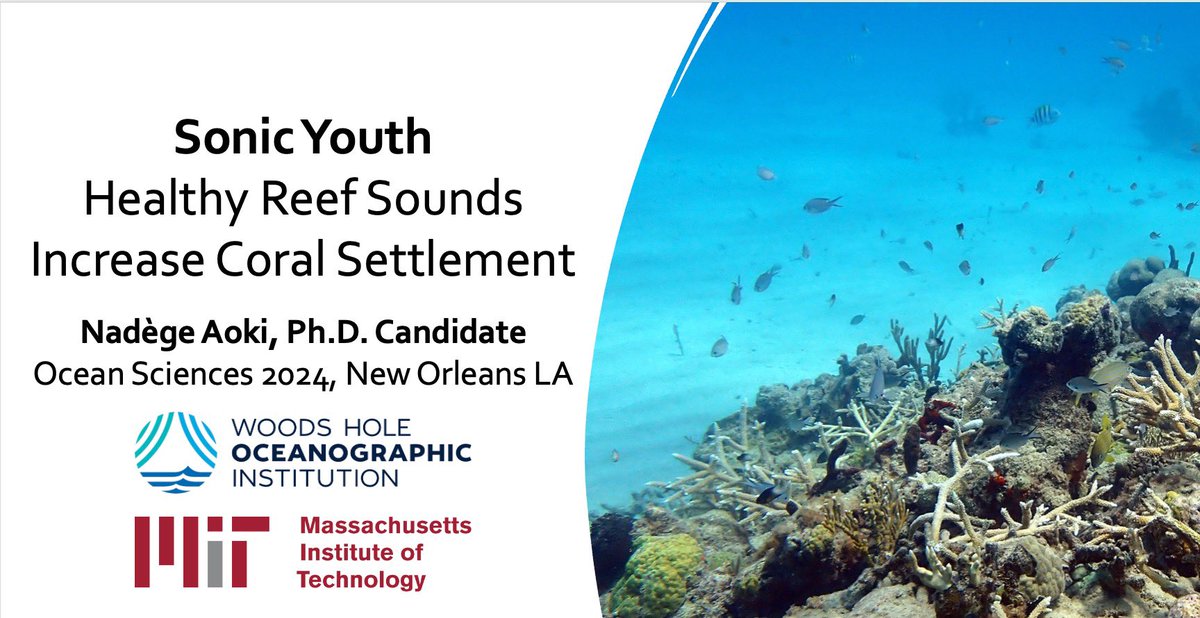 Very excited to be presenting at #OSM24 this morning in the reef restoration session on the topic of using acoustic enrichment to boost coral larval settlement rates. I’m speaking in 206-207 at 9:50 - hope to see lots of folks there!
